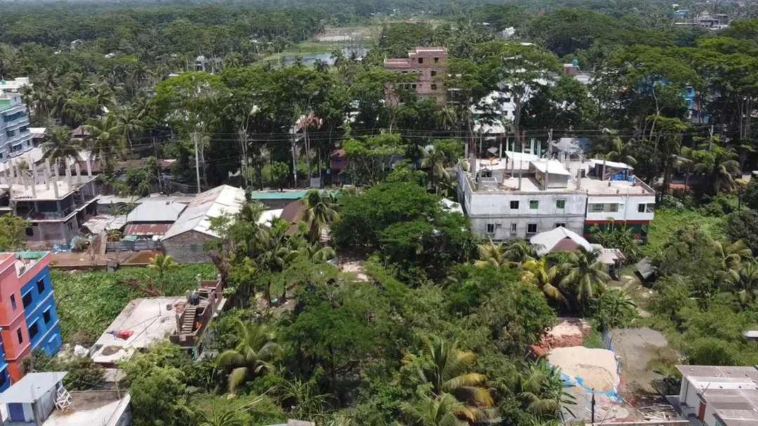 আসছে ডেঙ্গুর মৌসুম, মশক নিধনে কার্যক্রম নেই হটস্পট বরগুনায়